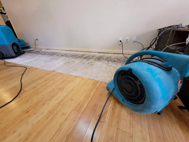 Professional Water Damage Repair technician working in Canton, GA